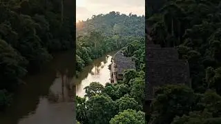 Dayak Traditions and Community Spirit of Borneo #shorts #dusunlifestory