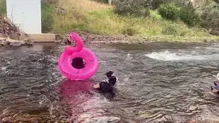 Water world at Macalister River Camp Ground - Glenmaggie
