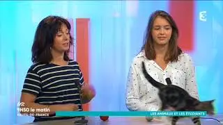 Que peut apporter un animal de compagnie à un étudiant ?