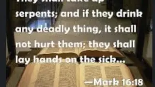 bro Jerry McKinley Holland singing the serpent song/mark16