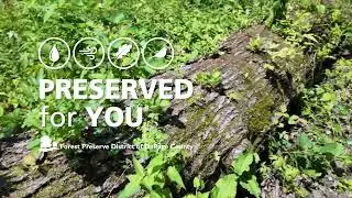 Preserving Habitat With Decaying Trees