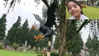 Chayra Vlog at Ulun danu beratan