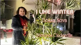 I Like Winter - Bossa Nova