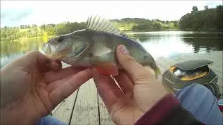 Redfin Fishing at Lake Canobolas, Orange NSW
