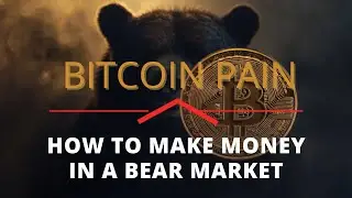 What's the Max Pain for #Bitcoin Price & How to Make Money in a #BearMarket