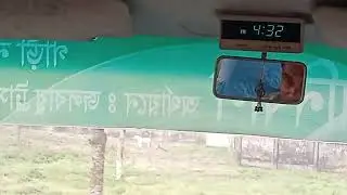 সাফারি পার্কে সাদা বাঘ