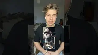 rankar mina f&ouml;ljares husdjur