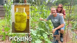 The Easiest Way to Can Pickles From Your Summer Garden!