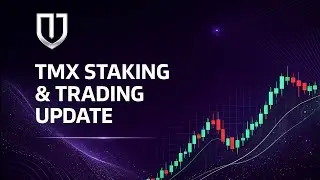 TMX STAKING & TRADING UPDATE 26.11
