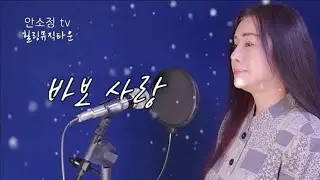 '바보 사랑' (쟈니리) - Cover By DYK안소정ㅣ짙은 감성 보컬로 듣는 명곡