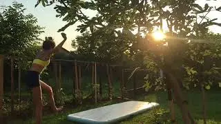 Jebanje cveta