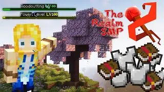 NUMBER GO UP [Realm SMP]