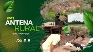 Antena Rural #013 - 11.01.2026