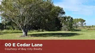 00 E Cedar Lane Port Lavaca, Texas 77979 | Melinda Moudy | Realtor Marketing Software