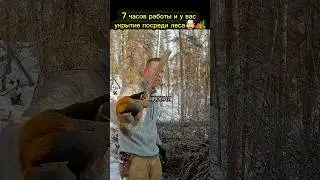 Выжить и ускорить дом в одиночестве на Аляске  #music #выживание  #outdoor  #survival  #провыживание