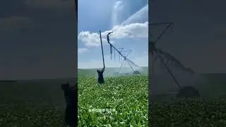 Amazing production process with modern machines and skillful workers #machines#technology #modern