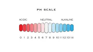 PH Of Hair & Products Professional Education Balmain Hair Couture