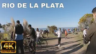 Reserva Ecologica Costanera Sur