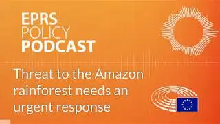 Threat to the Amazon rainforest needs an urgent response [Policy Podcast]