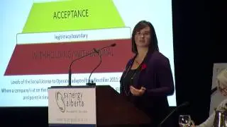 2013 Synergy Panel 3: Why can't we just get along? by Anne Harding