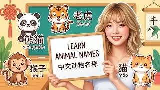 Ch Learn Animals In Chinese 中文动物命名的秘密逻辑
