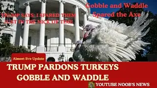 White House Turkey Pardon