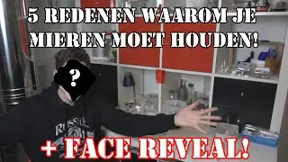 5 redenen waarom je mieren moet houden! + Face reveal! | #27