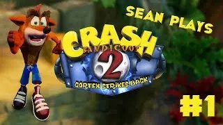 Sean Plays: Crash Bandicoot 2 (N. Sane Trilogy) - #1 - Turtle Woods