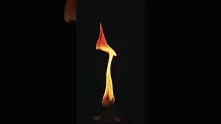 From The Eternity Flame, You Will Reborn | Meditation Music Video