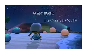 今日の島散歩　そしていつもバタバタ