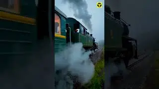 Magic of Steam Trains in the Morning Fog | Railways and Co. #trainwatching #winterrail #steamtrain