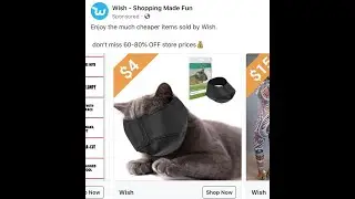 Cursed Wish Items - WTF WISH?