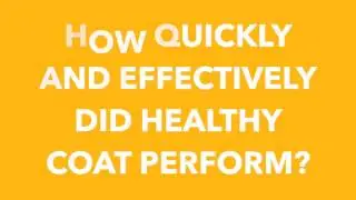 Healthy Coat  Interview with Dr  Daryl Rauser, DVM