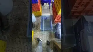 Bought 3 feet aquarium for 800rs toughened glass tank | parrot fish tank #aquarium
