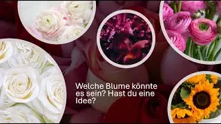 Welche Blume wird gesucht? 🌸🌻 Erkennst du sie in 5 Tipps?