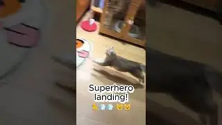 Superhero Landing🦸&zwj;♀