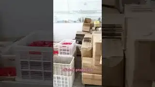 China factory- workshop Vlog