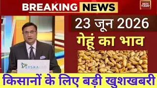 23 जनवरी 2026 Gehun Ka Bhav आज का गेहूं का भाव । गेहूं के भाव में आई  आज तेजी । गेहूं का भाव