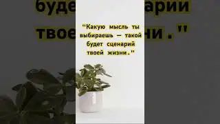 Сила мысли. #piano #music #drone #relaxingmusic #motivation #мотивацияивдохновение #успех #цитаты