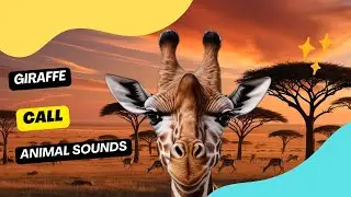 Giraffe Call Sounds / Animation 🦒