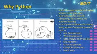 Introduction to the course "Master Python Programming Essentials": Why Python and Course Contents