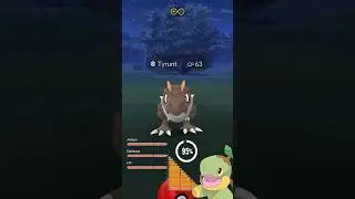 TYRUNT ANALYTICS! #pokemongoraids #pokemongoevents #pokemongoshiny #pokemongopvp #pokemoncards