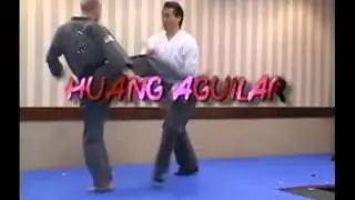Budo Seminars Masters In Action Vol2 Teaser