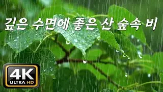 깊은 수면에 좋은 산 숲속 빗소리, [중간광고없음]10분후 검은화면, 마음을 잠재우는 자연 숙면 사운드, ASMR