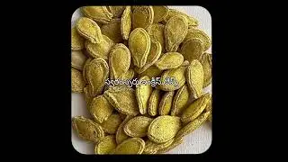 Spermiogenesis: A Simple Guide in Telugu