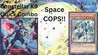 Constellar K9 Combo Post JUSH