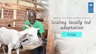 Climate-resilient dairy goat farming with local feed innovation in Kenya: World Neighbors