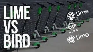 Charging Lime Scooters vs Bird (Which Is Better?)