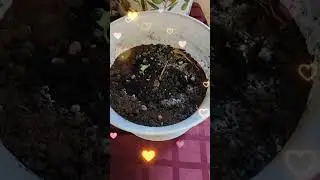 5 февраля 2026 г.