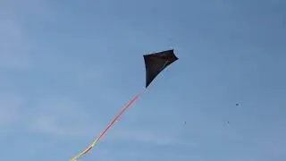 Aldi / Crane Kite - Diamond Kite